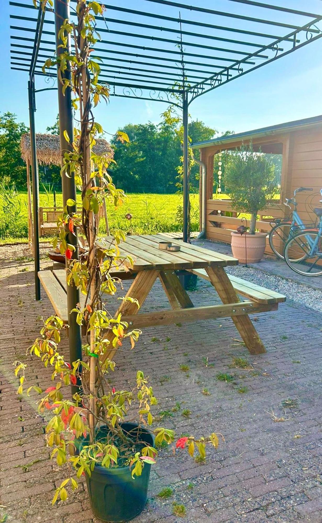Mediterranean Style Chalet With Jacuzzi And Garden Near Amsterdam Vijfhuizen Bagian luar foto